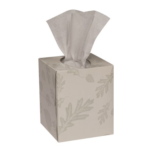 Pañuelo Desechable para la Cara Renew, Doble Hoja, Caja Tipo Cubo, 85 Hojas, Blanco